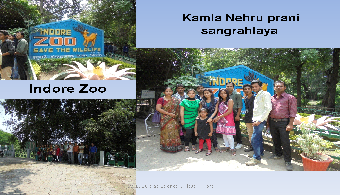 Zoology P.M.B. Gujarati Science College, Indore